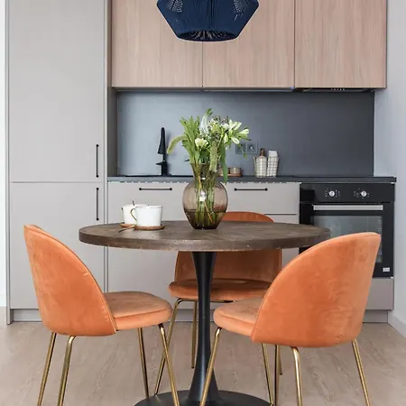 Near Gates Of Dawn / Modern 1 Bedroom / W/netflix Vilna