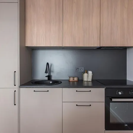 Near Gates Of Dawn / Modern 1 Bedroom / W/netflix Βίλνιους