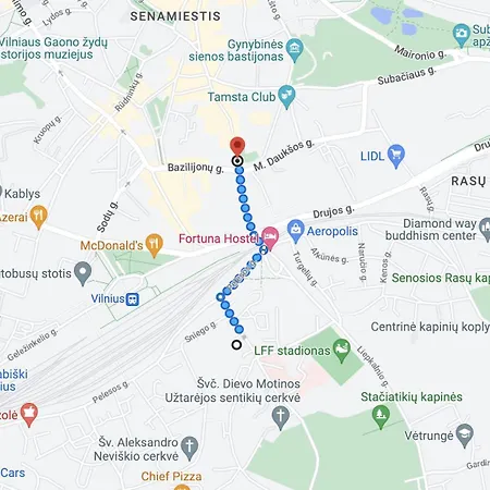 Near Gates Of Dawn / Modern 1 Bedroom / W/netflix Вильнюс