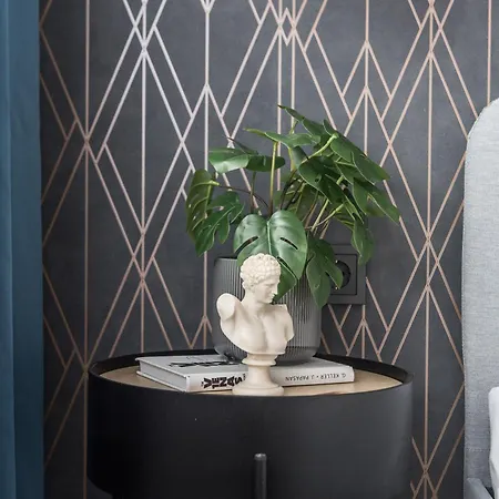 Near Gates Of Dawn / Modern 1 Bedroom / W/netflix * Wilno