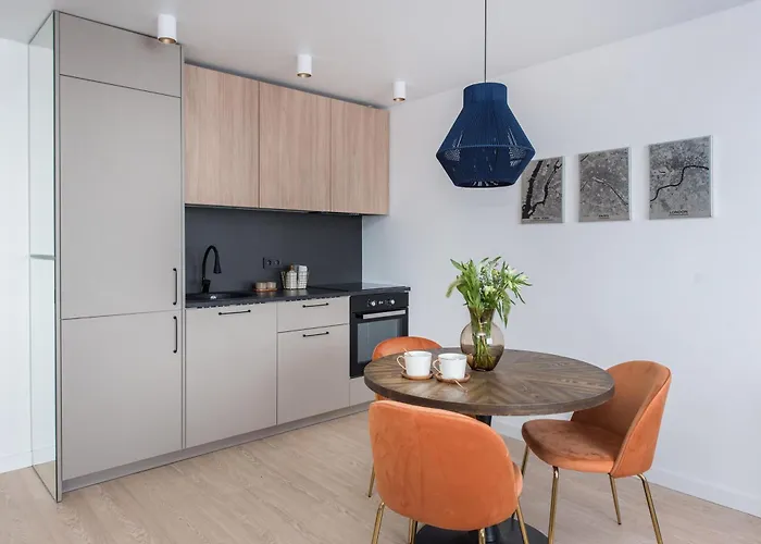 Near Gates Of Dawn / Modern 1 Bedroom / W/netflix Appartement Vilnius