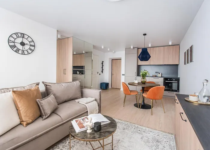 Near Gates Of Dawn / Modern 1 Bedroom / W/netflix Butas Vilnius