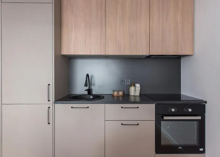 Near Gates Of Dawn / Modern 1 Bedroom / W/netflix Vilnius