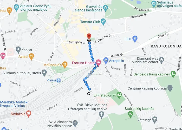 Near Gates Of Dawn / Modern 1 Bedroom / W/netflix Vilnius