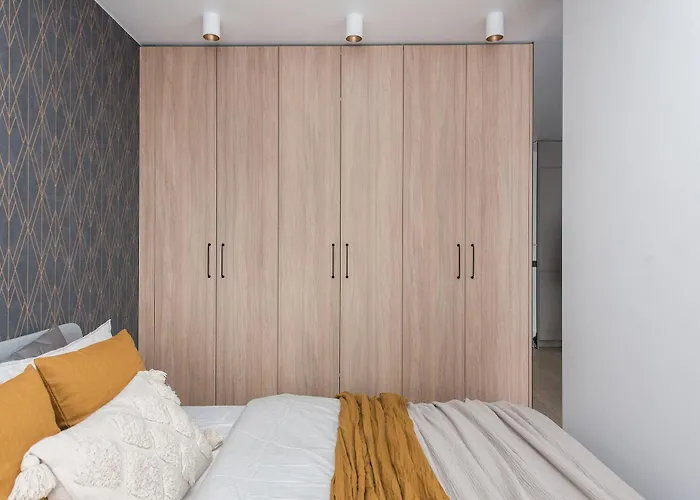 Near Gates Of Dawn / Modern 1 Bedroom / W/netflix * Vilnius