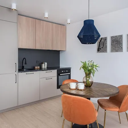 Near Gates Of Dawn / Modern 1 Bedroom / W/netflix Appartamento Vilnius