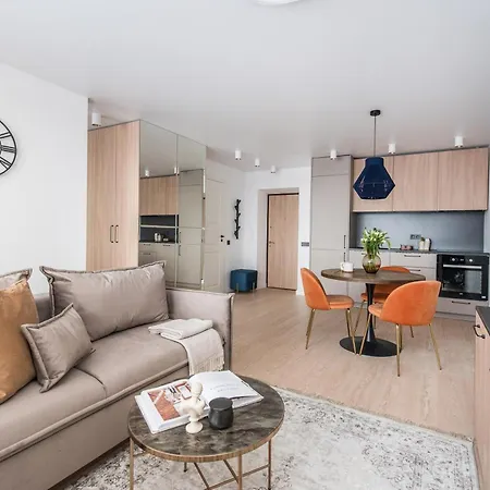 Near Gates Of Dawn / Modern 1 Bedroom / W/netflix Appartamento Vilnius