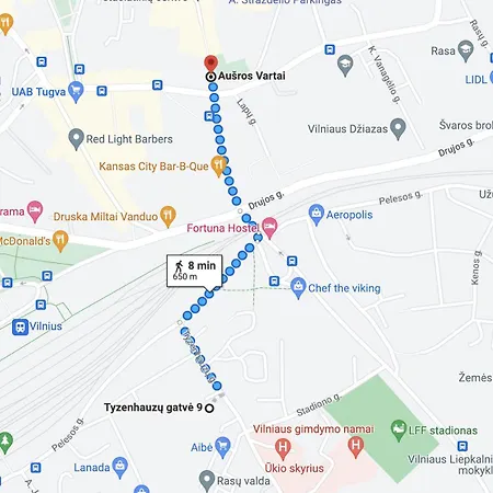 Near Gates Of Dawn / Modern 1 Bedroom / W/netflix * Vilnius