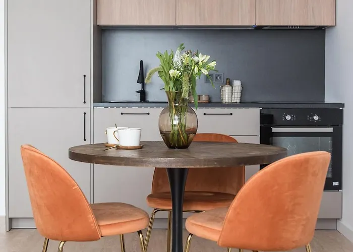 Near Gates Of Dawn / Modern 1 Bedroom / W/netflix 빌뉴스