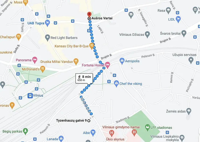 Near Gates Of Dawn / Modern 1 Bedroom / W/netflix * 빌뉴스